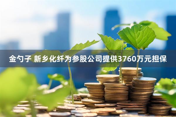 金勺子 新乡化纤为参股公司提供3760万元担保